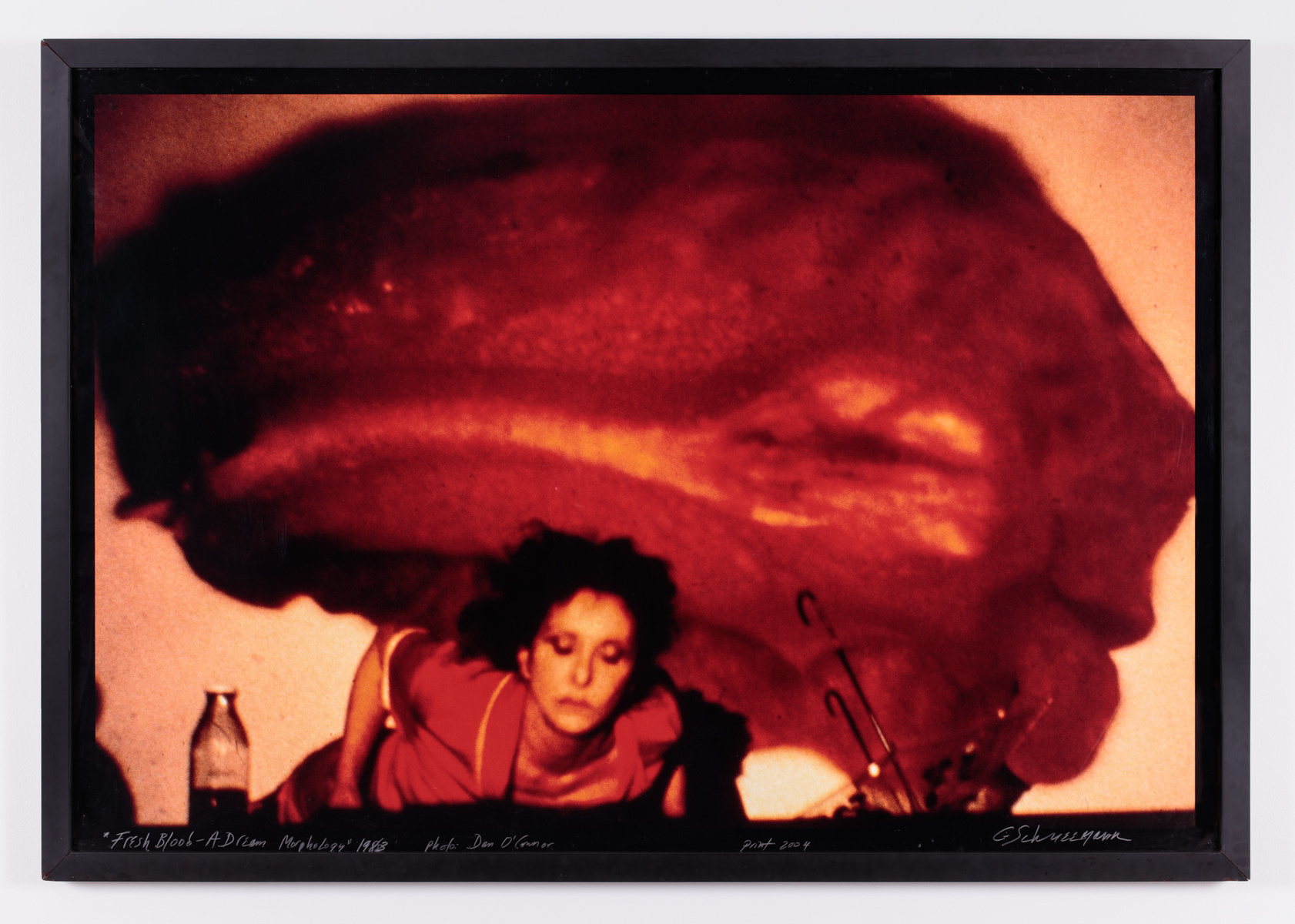 image of the artist laying face down in red with her face extended towards the camera; behind her is a large image of red blood