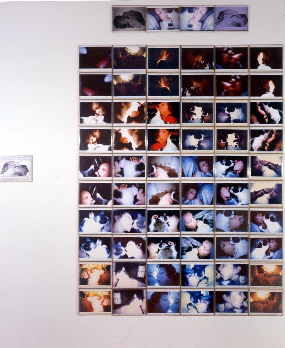 65 panels with images of Schneemann kissing her cat