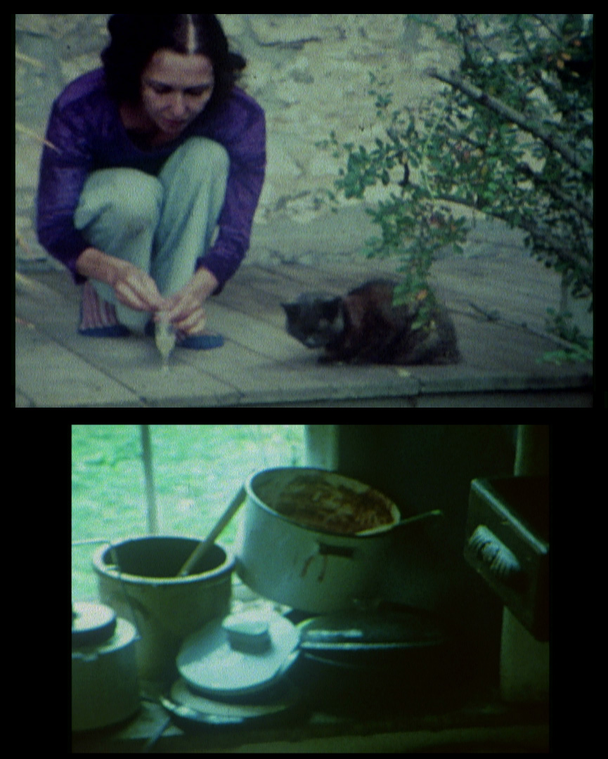 two stills on top of one another; the top image is the artist crouched outside next to a black cat, a tree extends from the right side; the bottoms is a sink full of dirty dishes