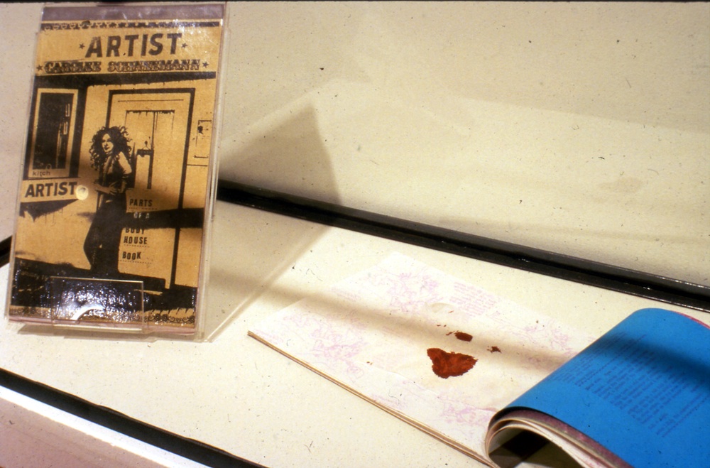 photograph of the cover and pages of the book
