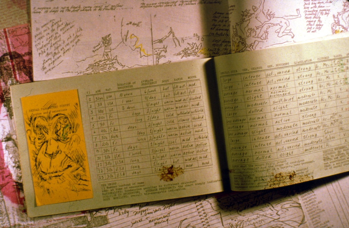 photo of pages from the book; ledger-like pages record data in rows and columns for a "sexual paramaters survey;" to the left is an illustration on a yellow piece of paper