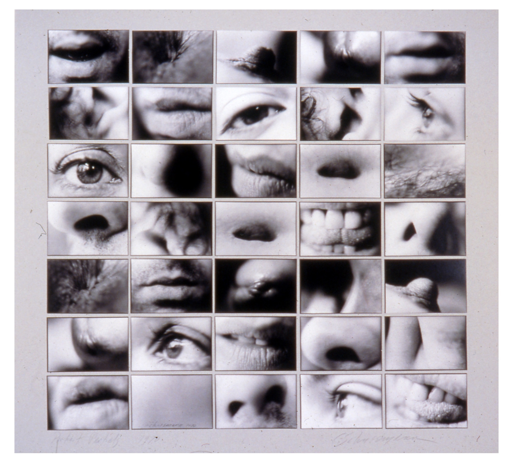 grid of 35 b/w close-up photos of body parts: eyes, noses, tongues