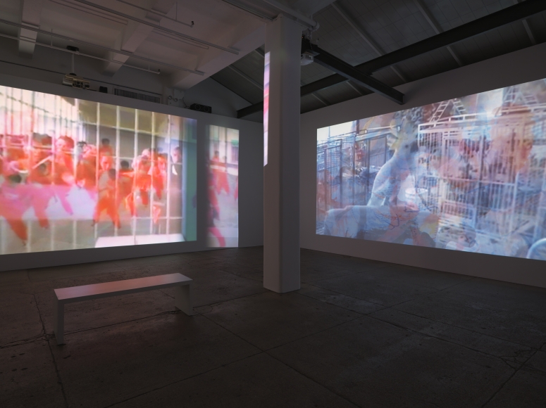 installation view with 2 screens: one with dancers in red jumpsuits, the second with bird and cages